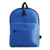 600D polyester backpack