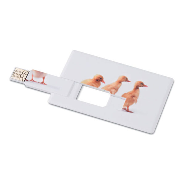 Creditcard. USB flash 16GB