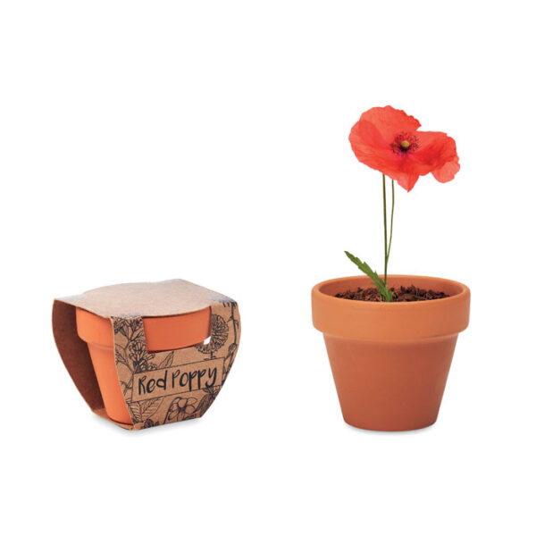 Terracotta pot &apos;poppy&apos;