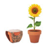 Terracotta pot &apos;sunflower&apos;