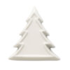 HOLIFIR