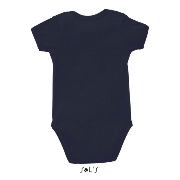 s00583-fn-back BAMBINO