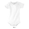 s00583-wh.jpg BAMBINO
