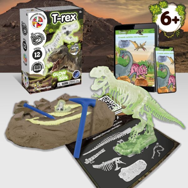 Fossil Excavation Kit I. Educational game for children