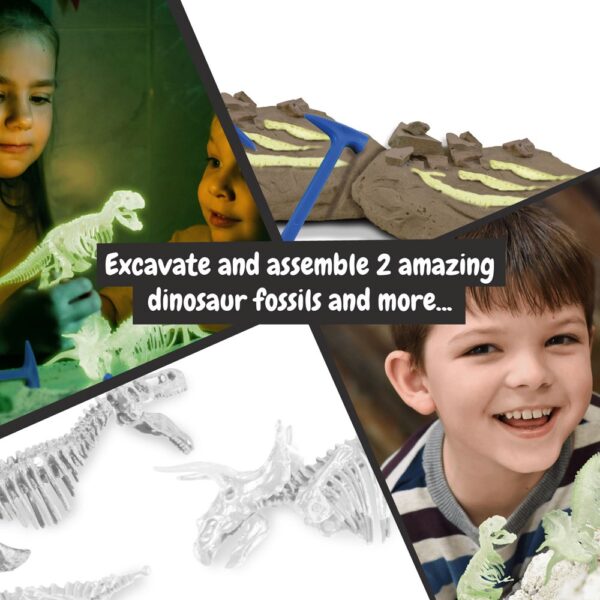 2 in 1 Fossil Excavation Kit II. Educational game supplied with a kraft paper gift bag (90 g/m²), made from FSC™ certified material and other controlled materials