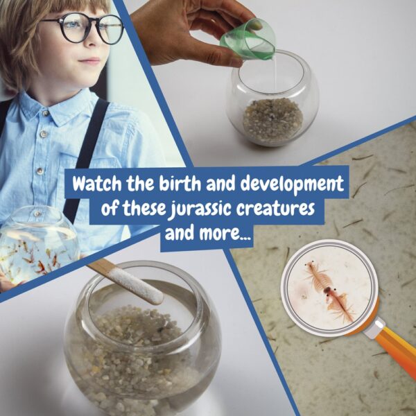 35828_100-b Jurassic Pets Kit I. Educational game for children