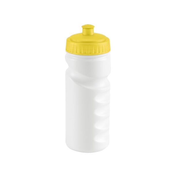 94616_108 LOWRY. 530 mL HDPE sports bottle