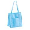 ROTTERDAM. Non-woven Cooler bag (80 g/m²)