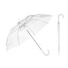 99143_set NICHOLAS. Transparent POE umbrella with automatic opening