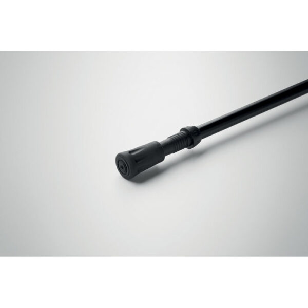 mo2951-03-open NOLE ONE