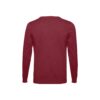 30149_115-b THC MILAN. Men's V-neck pullover in cotton and polyamide