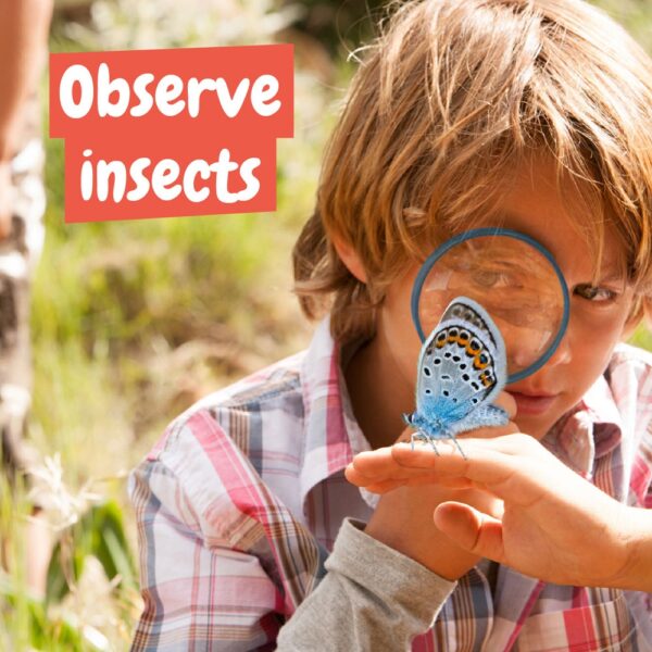 My First Science Kit I. Educational toy for children