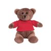 BEAR. Plush Teddy bear in a t-shirt