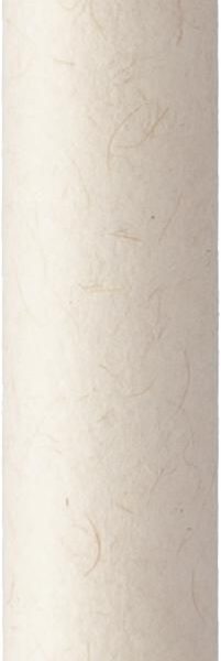 Recycled milk carton ballpen Heike