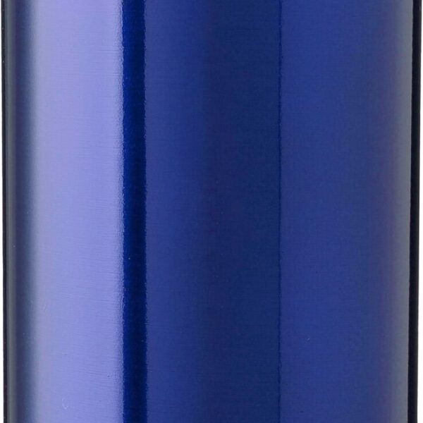 Stainless steel single-walled drinking bottle 650 ml Cindy