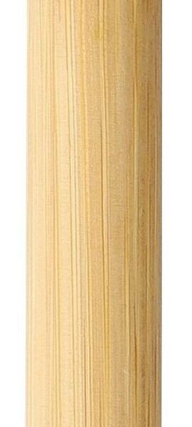 Bamboo ballpen Fenn