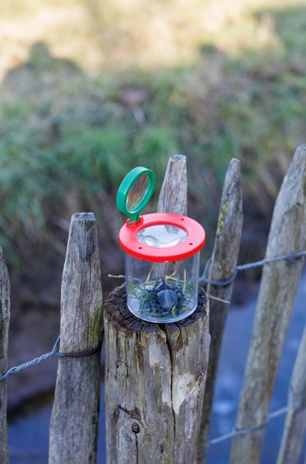 Magnify jar Sunlit