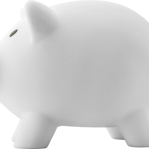 PVC piggy bank Roger