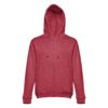 THC AMSTERDAM II. Men's hoodie in cotton and polyester with full zip