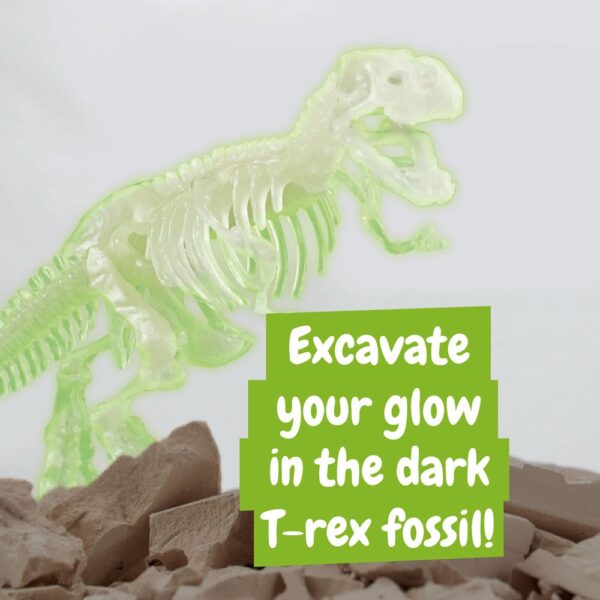 Fossil Excavation Kit I. Educational game for children