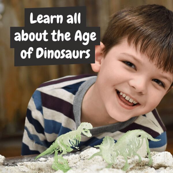 35823_100-e 2 in 1 Fossil Excavation Kit I. Educational game for children