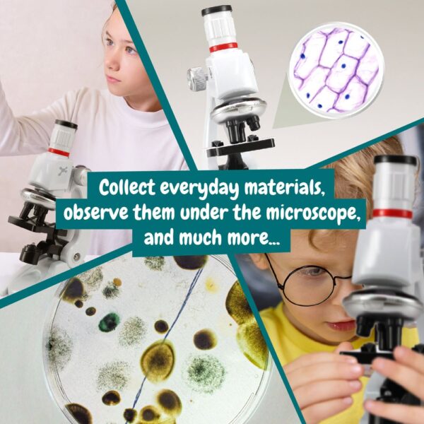 35865_100-f MICROSCOPE. Educational game for children