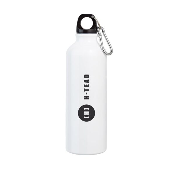 LANDSCAPE L. Aluminium sports bottle with carabiner 800 mL