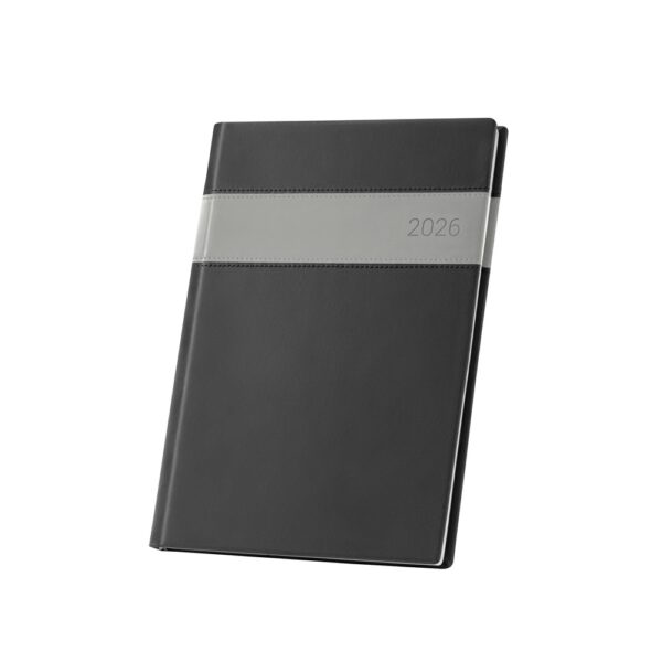 96114_113 ALLENDE B5. B5 Diary