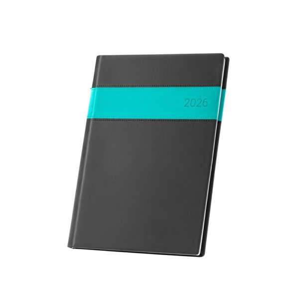96114_124 ALLENDE B5. B5 Diary