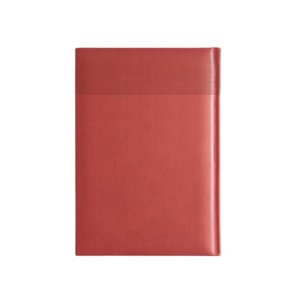 96193_105-b CARROLL A5. A5 Diary
